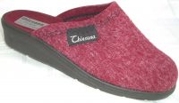 Silvi FIS bordo 45460082